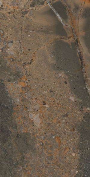  Illusion Brown POL