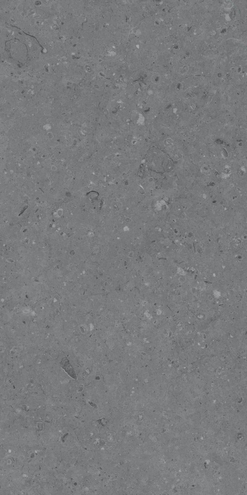 МДТ0240 Cemento Ammonite Grey Matt