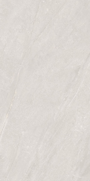  EFM126H221A Champagne