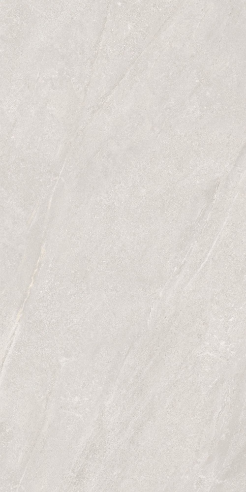  EFM126H221A Champagne