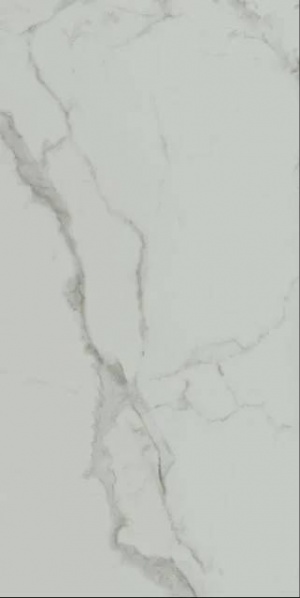 7008
