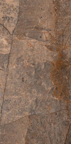 Medi Tile Forest Wood