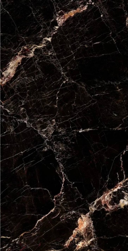  6013-5 Golden Black
