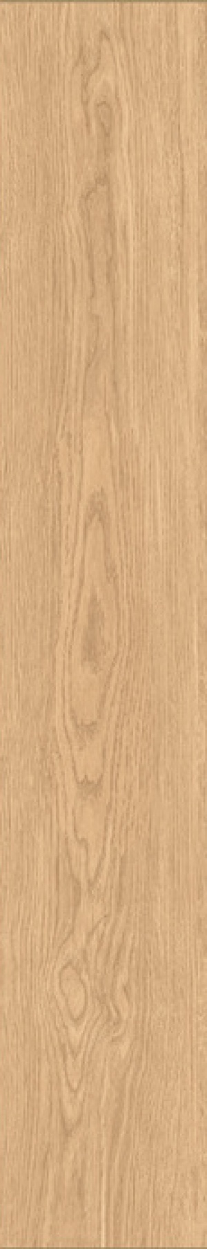  IZ01 Izumi Chiaro Selezionato SP SQ