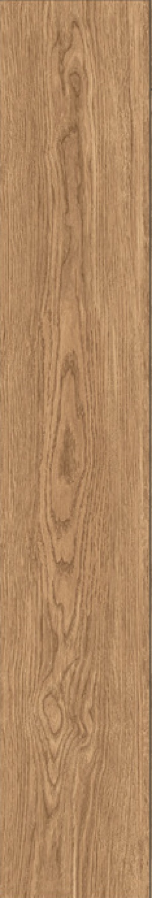  IZ04 Izumi Nocciola Selezionato SP SQ