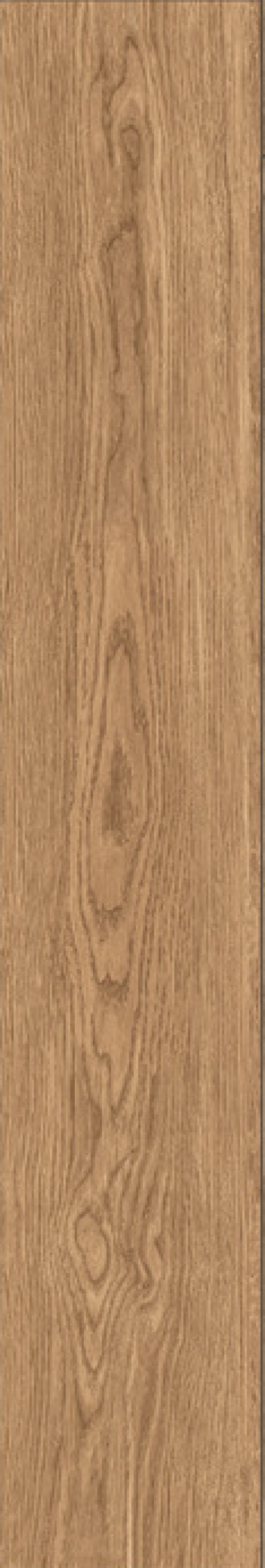  IZ04 Izumi Nocciola Selezionato SP SQ