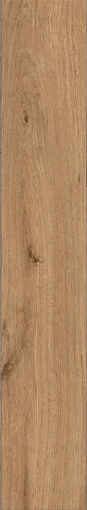  IZ05 Izumi Nocciola Classico SP SQ