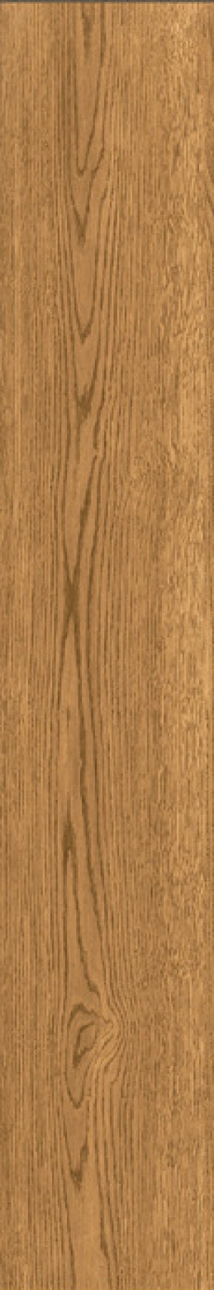  IZ07 Izumi Miele Selezionato SP SQ