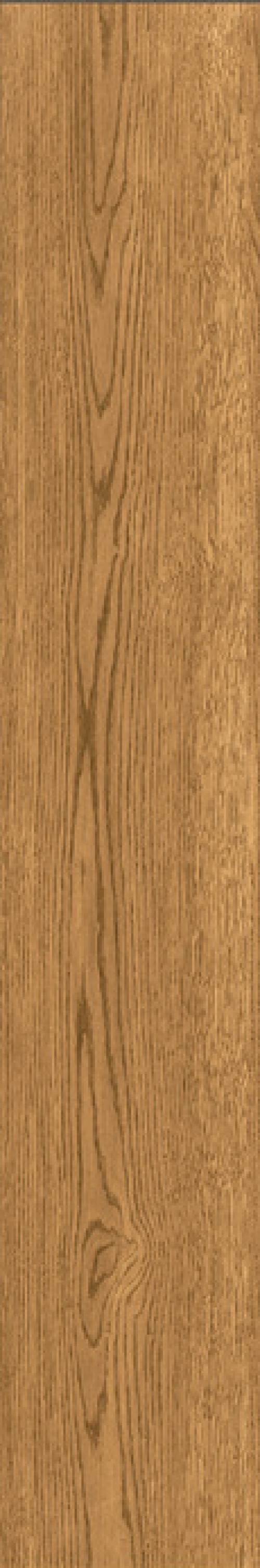  IZ07 Izumi Miele Selezionato SP SQ