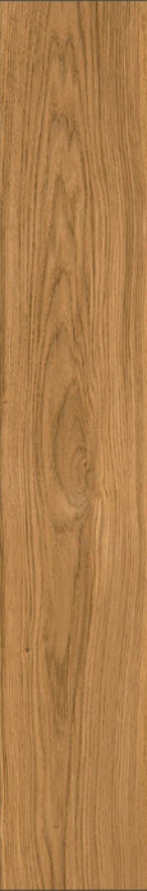  IZ08 Izumi Miele Classico SP SQ