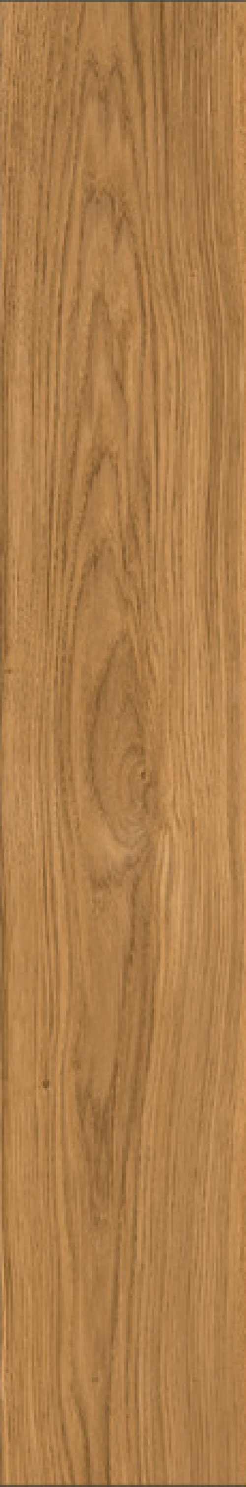  IZ08 Izumi Miele Classico SP SQ