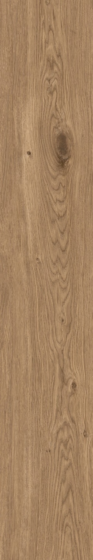  IZ05 Izumi Nocciola Classico SP SQ