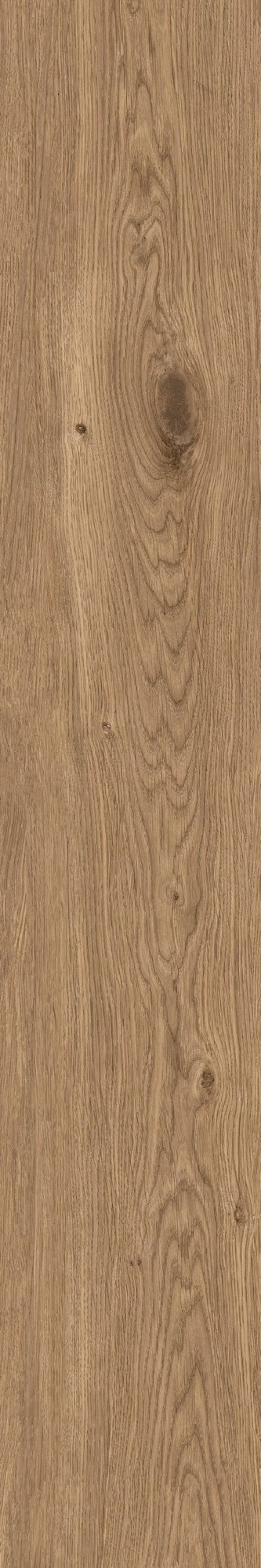  IZ05 Izumi Nocciola Classico SP SQ