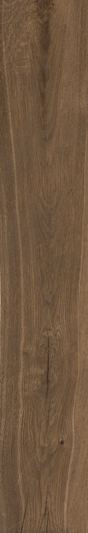  KA05 Kao Cocoa SP SQ