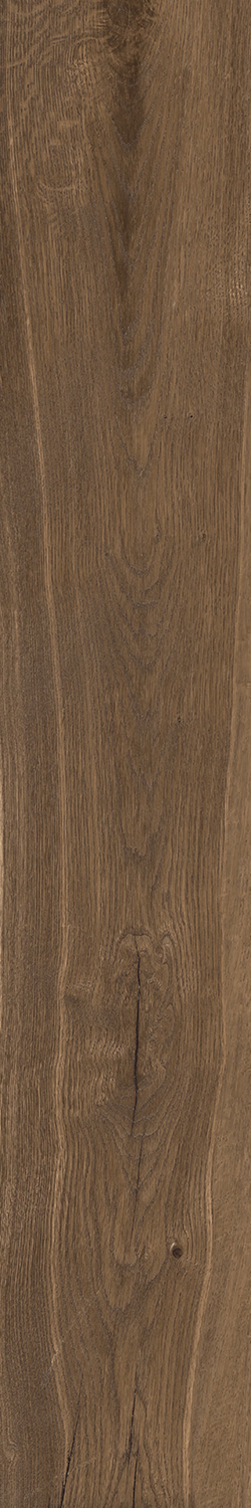  KA05 Kao Cocoa SP SQ