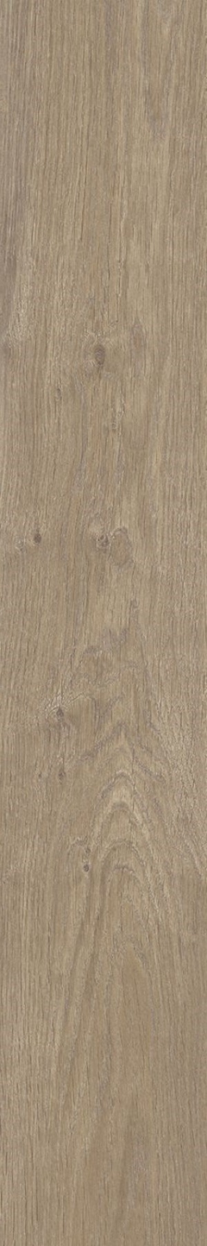  KA03 Kao Caramel SP SQ