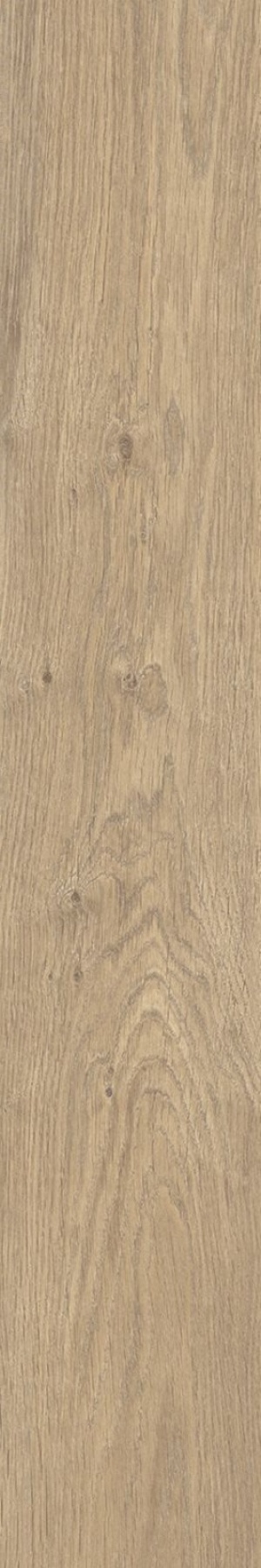  KA02 Kao Hazelnut SP SQ