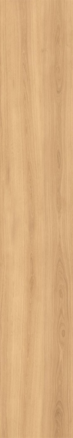  0U04 Oudh Pino SP SQ