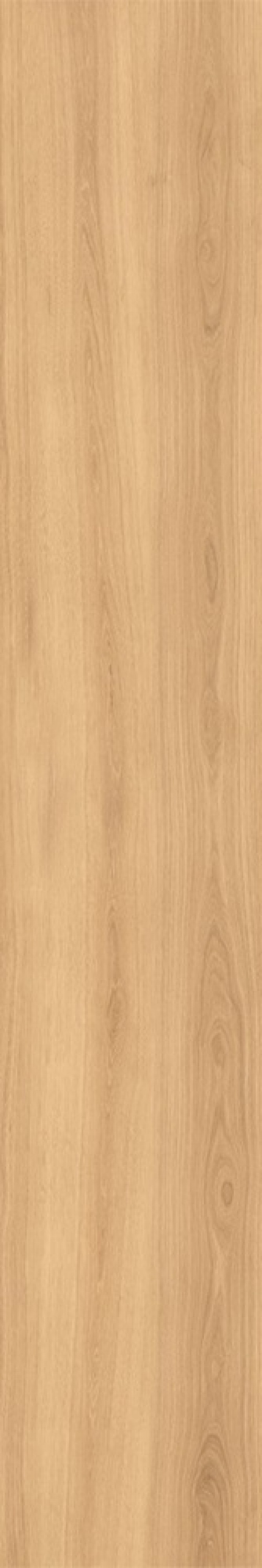  0U04 Oudh Pino SP SQ