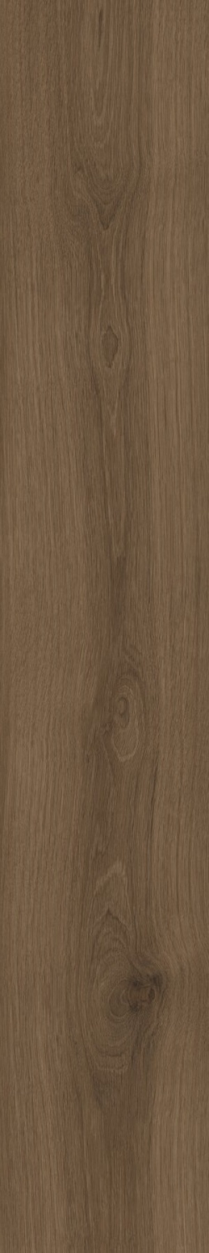  0U06 Oudh Ladano SP SQ