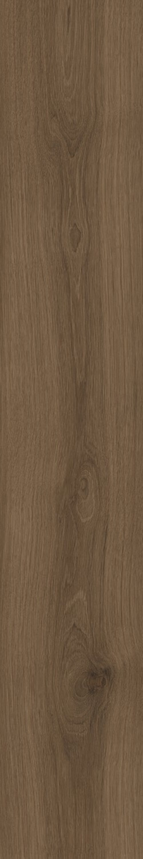  0U06 Oudh Ladano SP SQ
