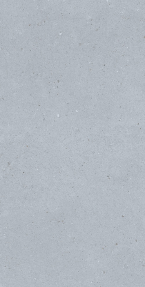  MD2541 Artis Silver Carving