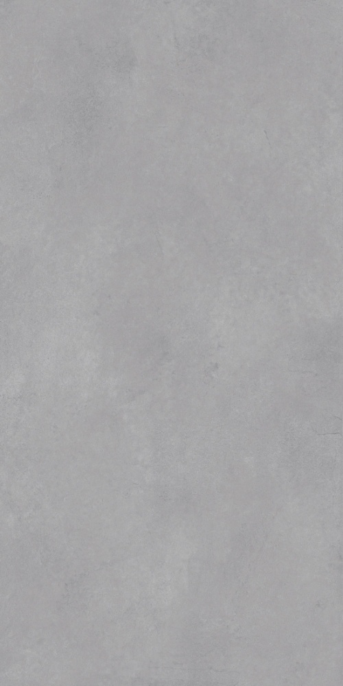  MD2548 Leonessa Silver Matt