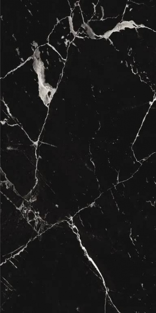  PT12S982 Marble Noir Pol
