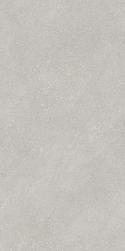  PT12F7048 Pietra Light Grey Matt
