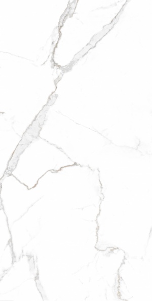  MD23211 Satori Statuario Glossy