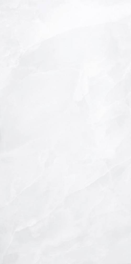  Onix White