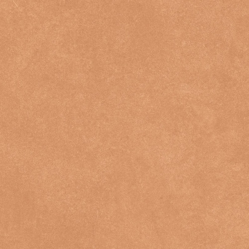  N100004 Levels Orange Matt