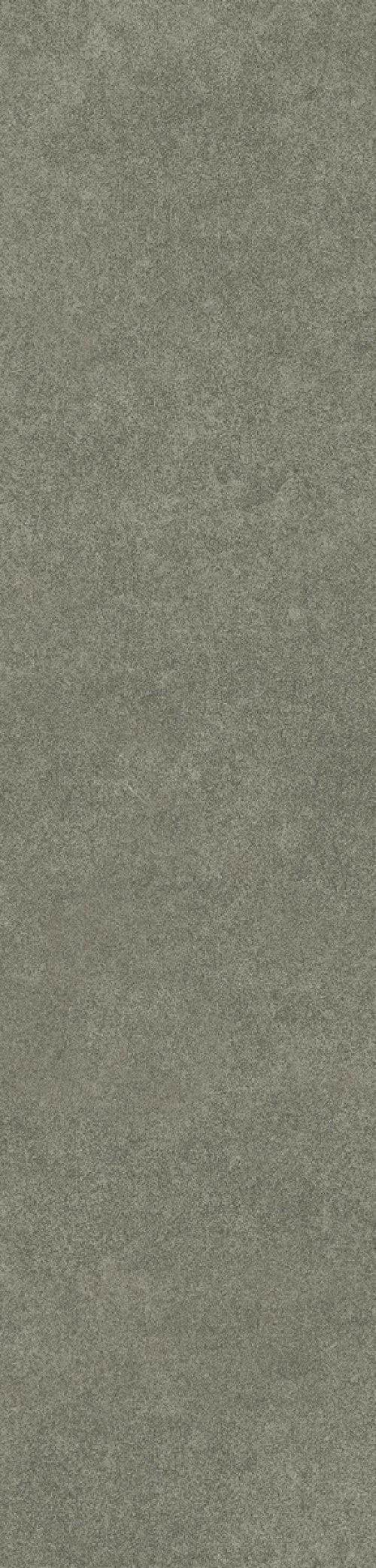  N100041 Levels Forest Glossy