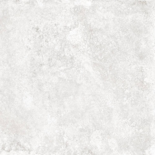  N100124 Palmas White
