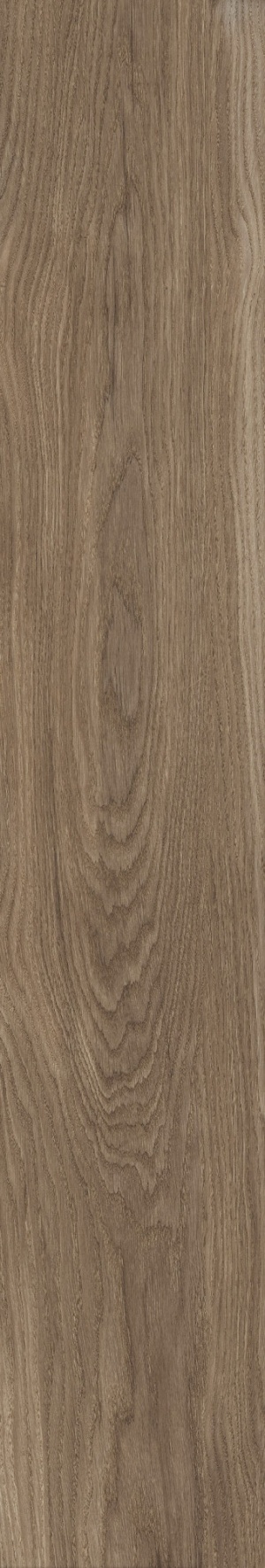  Bloom Cognac SP M-104