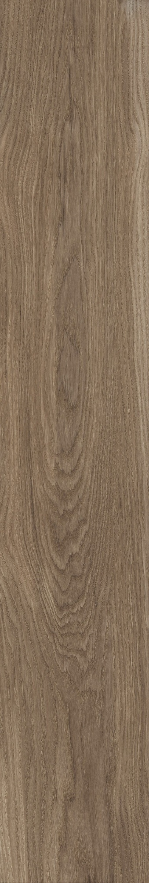  Bloom Cognac SP M-104