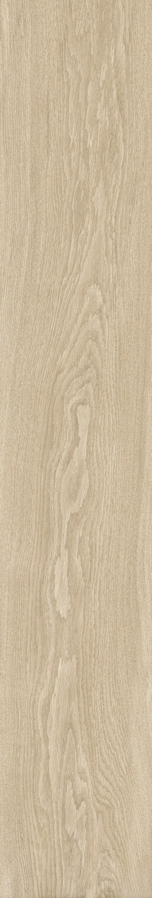  Bloom Dune SP M-104