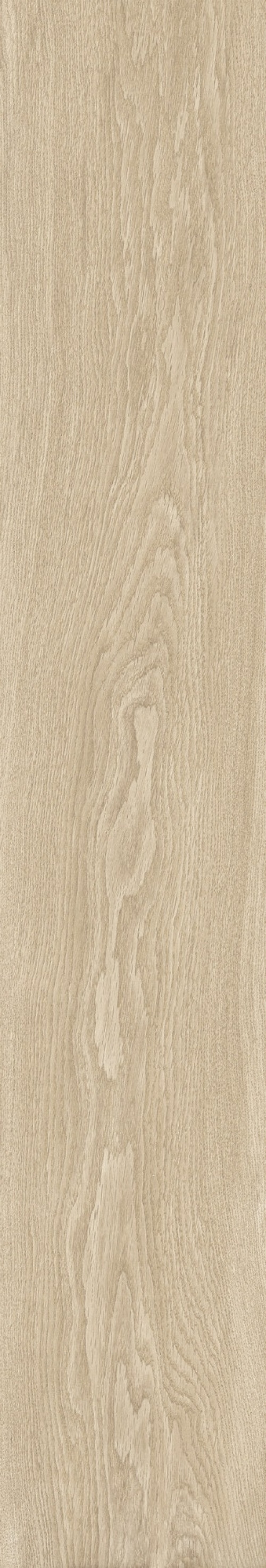  Bloom Dune SP M-104