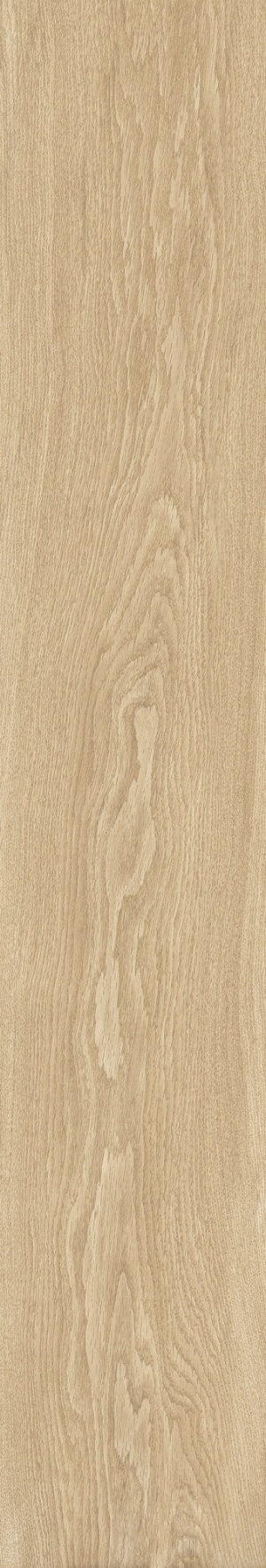  Bloom Honey SP M-104