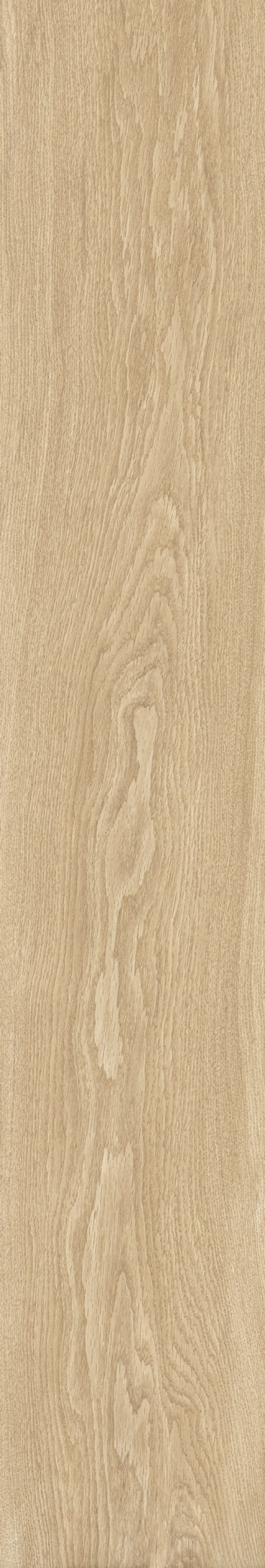  Bloom Honey SP M-104
