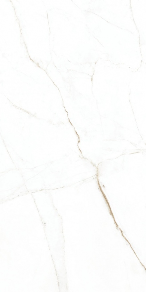  3350938712 Dual White NT