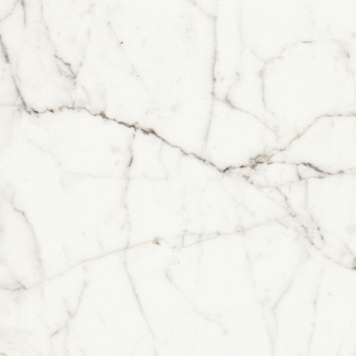  Rhapsody White Fun Lev. Ret