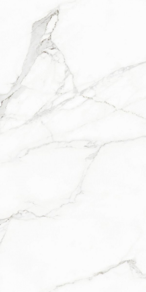  Rhapsody White Beauty Lev. Ret