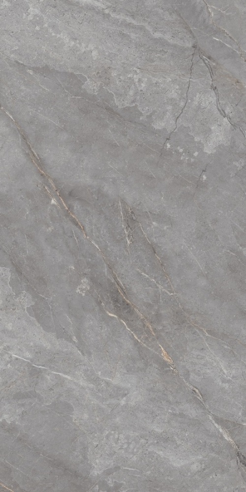  N20484 Marble Orobico Grey Polished