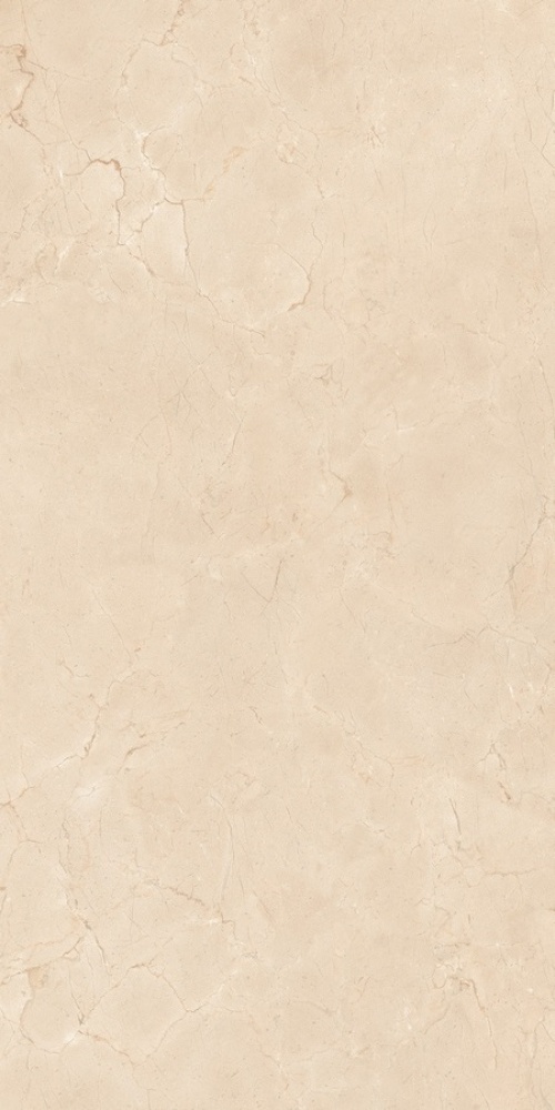  N20480 Concept Crema Marfil Polished