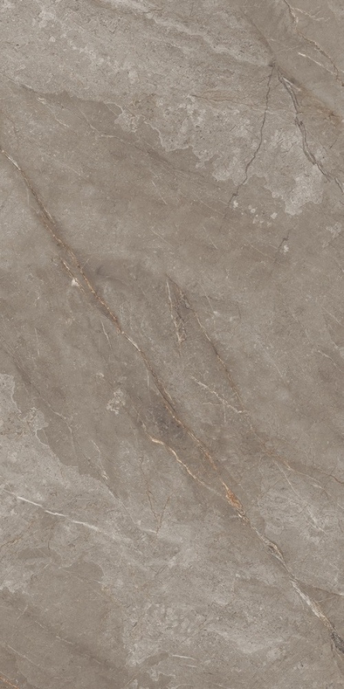  N20483 Marble Orobico Brown Polished