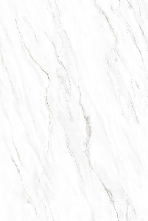  N20573 Classic Marble Statuario Dior Polished