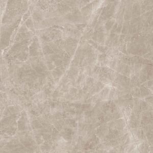  N20462 Marblestone Frappuccino Taupe Polished