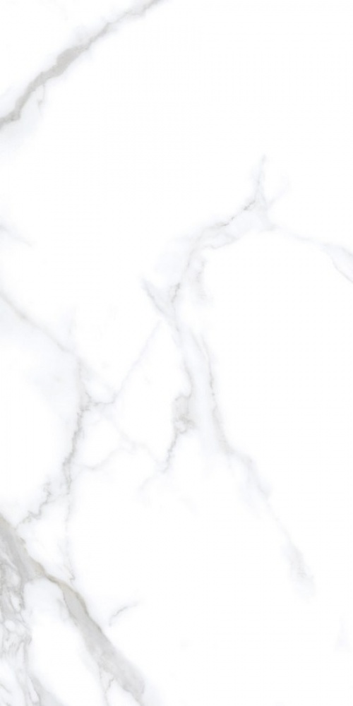  N20531 Classic Marble Statuario Chic Polished