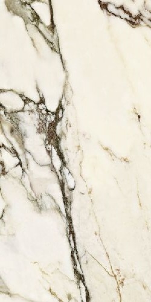  CV20218 Classic Marble Calacatta Venato Polished